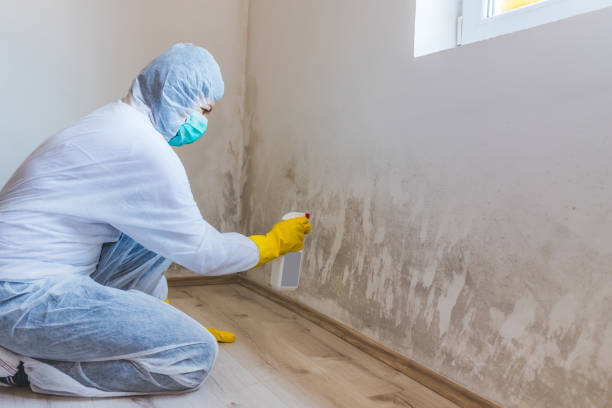 Crawl Space Mold Remediation treatment of floor joists in Chester